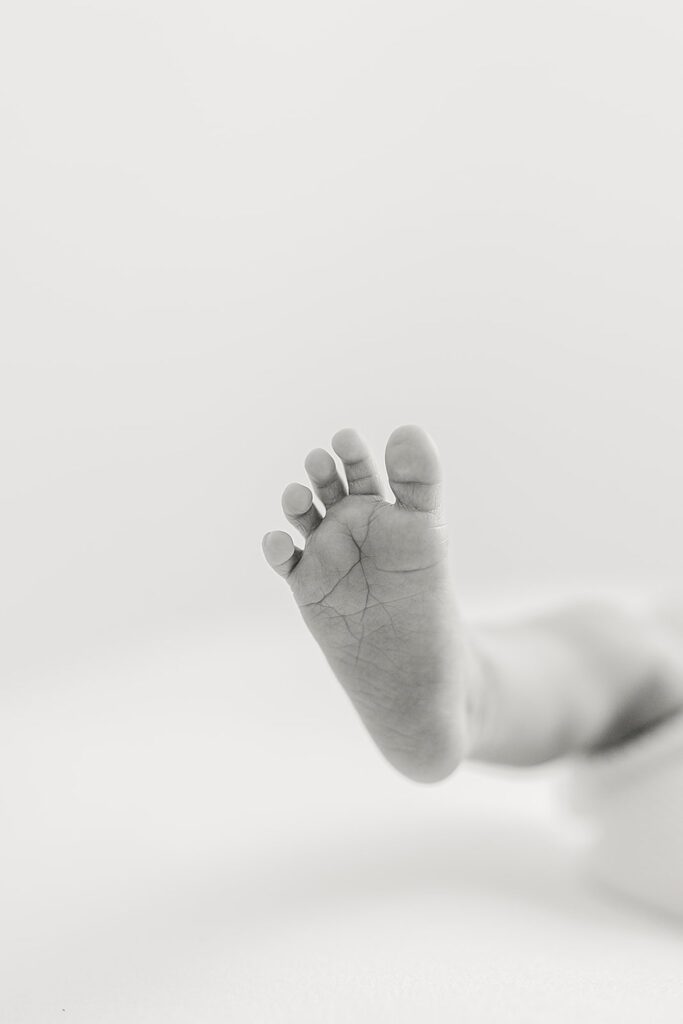 Artistic close-up of newborn baby toes — photographed during a relaxed, full-service newborn session in Stuart, Florida.